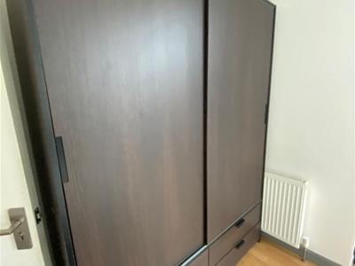 Picture 12